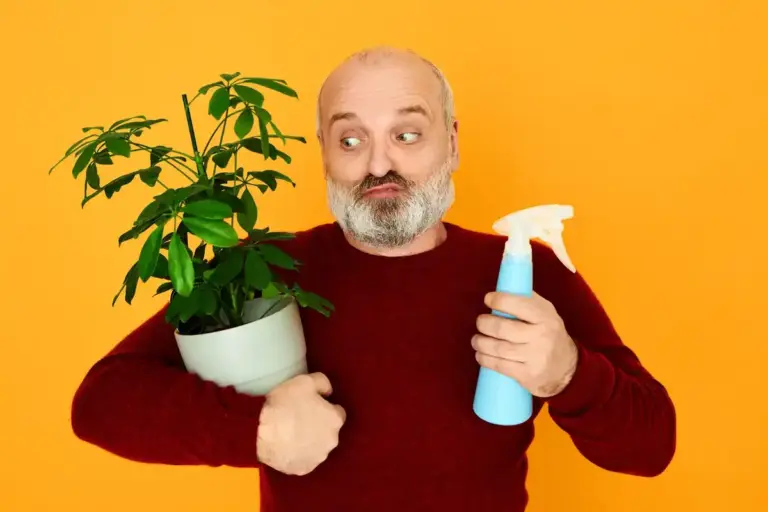 houseplant care overfertilization mistakes