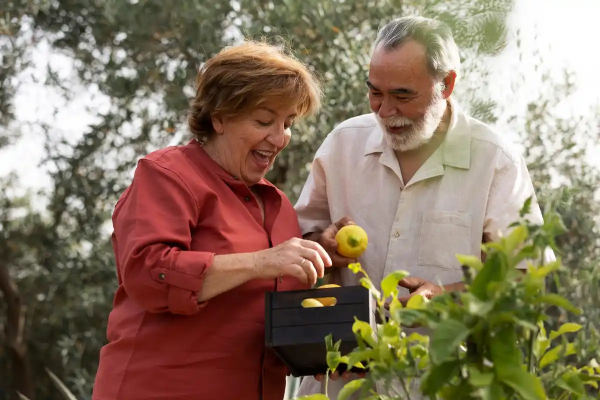 older czech couple working in small vegetable garden