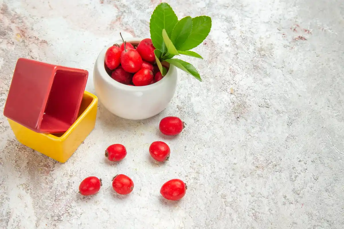 homegrown goji berries Czech garden