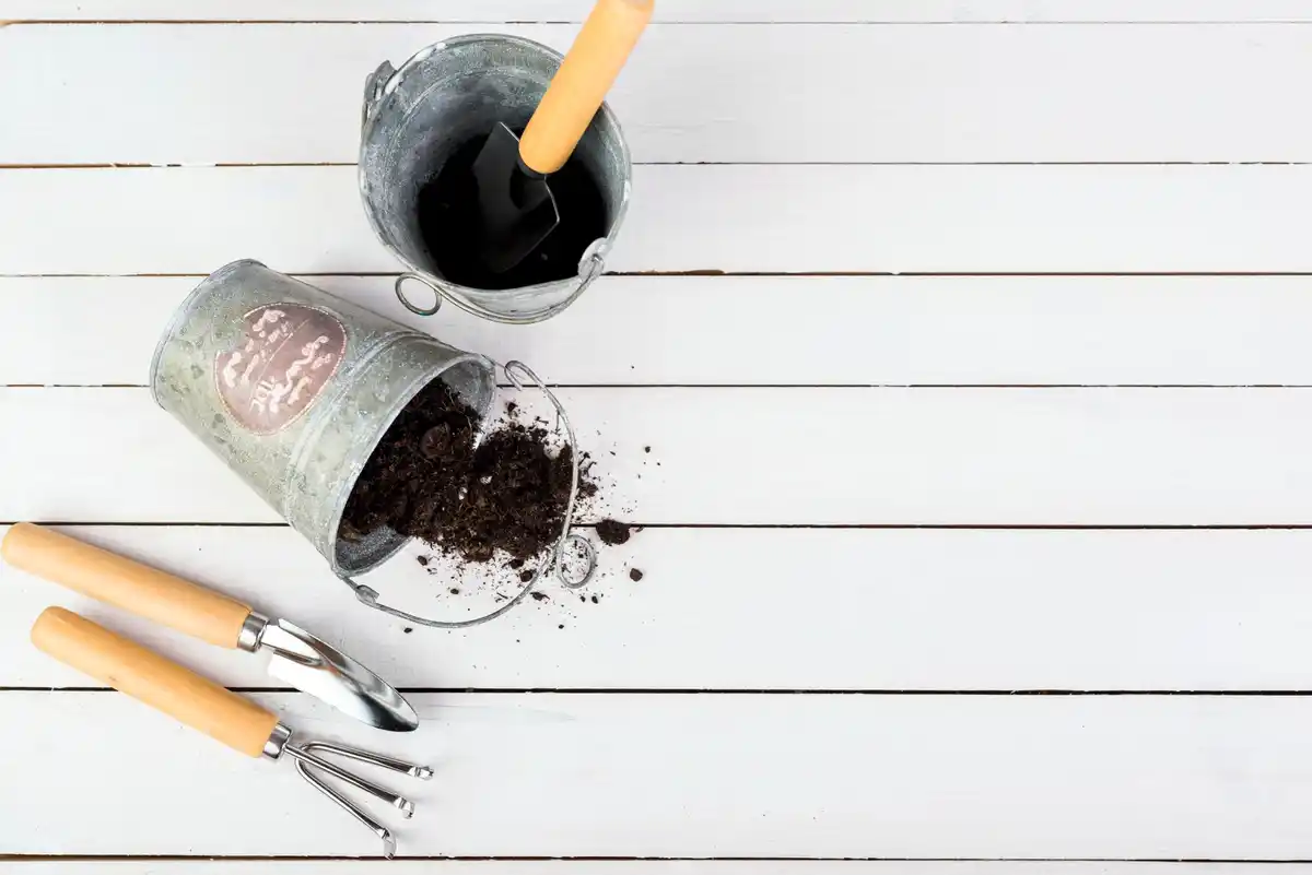 garden compost with coffee grounds Czech garden tools