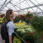 greenhouse innovative cover winter resistant Czech garden