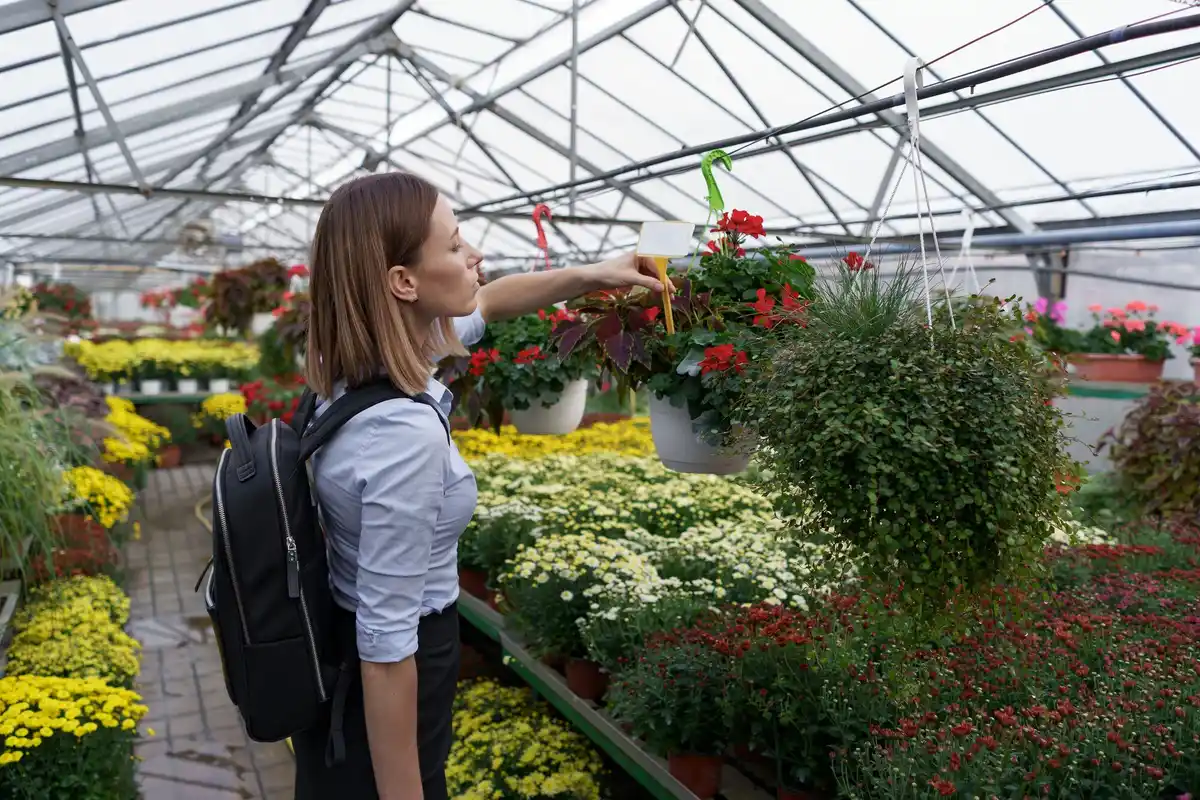 greenhouse innovative cover winter resistant Czech garden