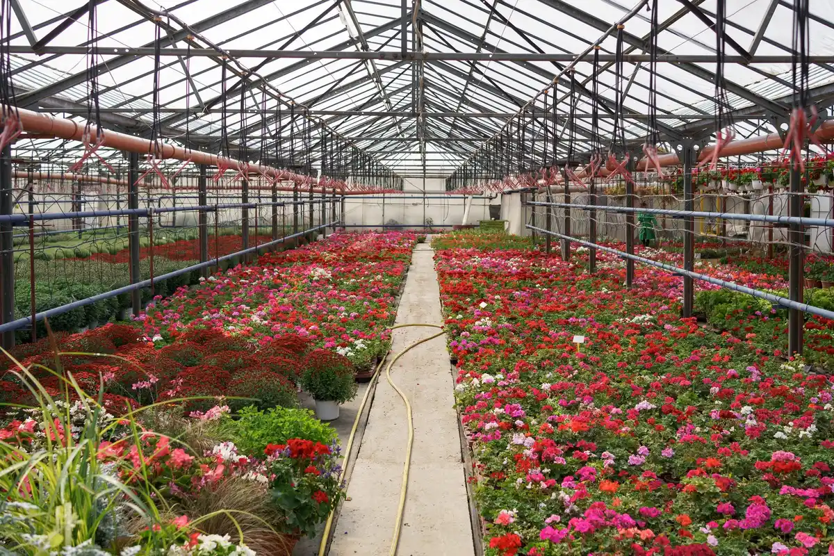 modern greenhouse cover material winter resistant Czech garden
