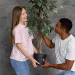 houseplants rescue care mistakes urban apartment