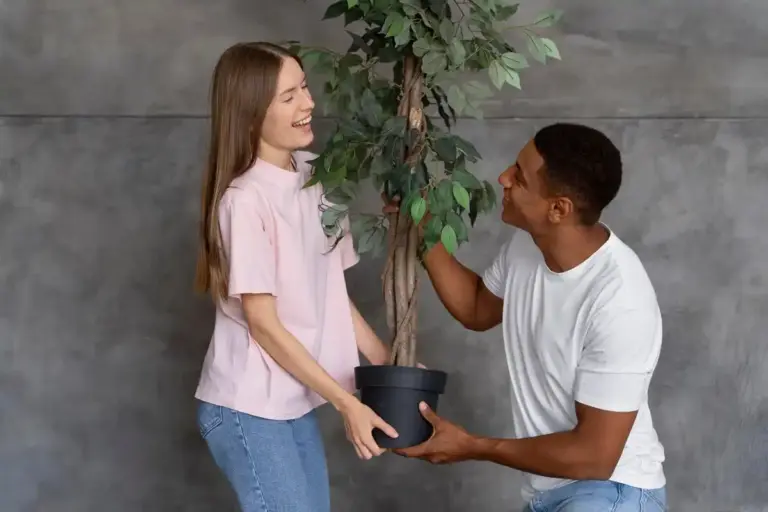 houseplants rescue care mistakes urban apartment