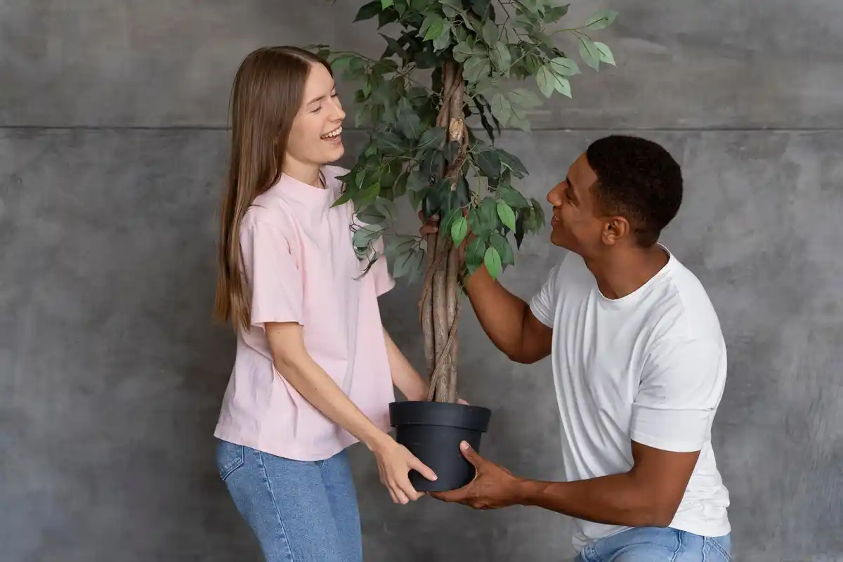 houseplants rescue care mistakes urban apartment