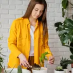 indoor plants winter survival tips