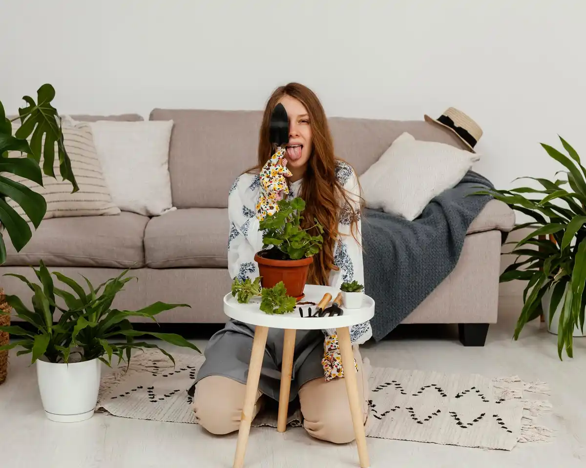 indoor plants winter care cozy apartment