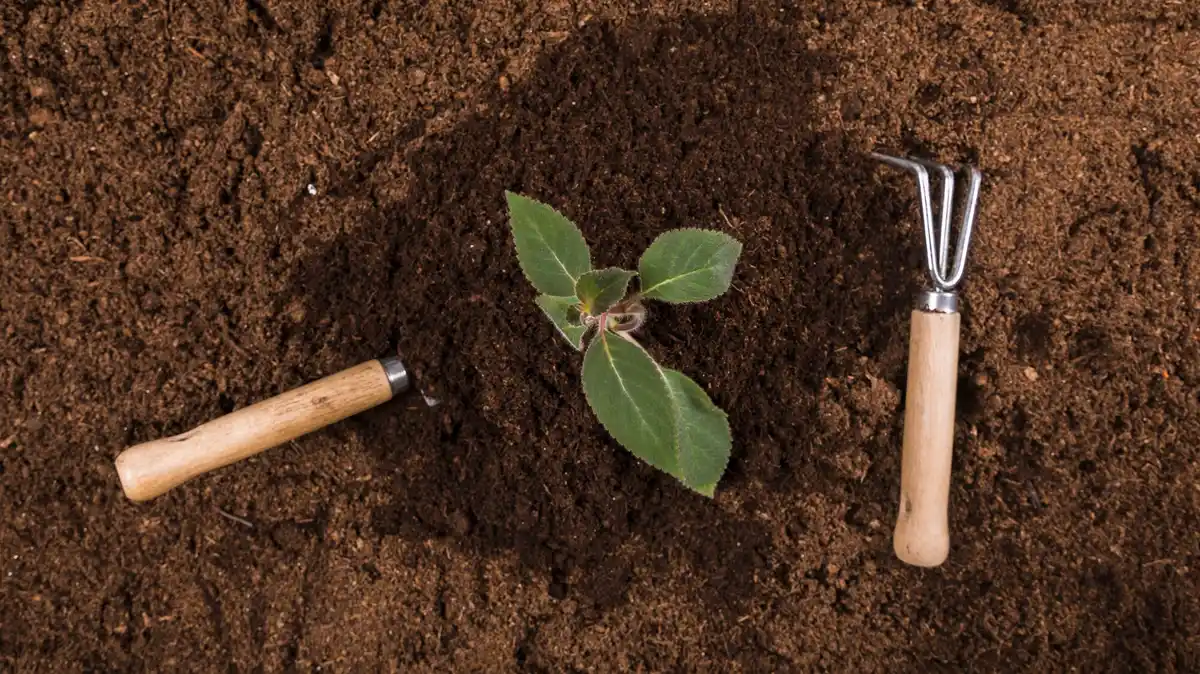 garden soil closeup with small earthworm czech