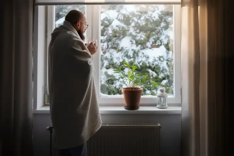 winter houseplants problems czech apartment dry air light