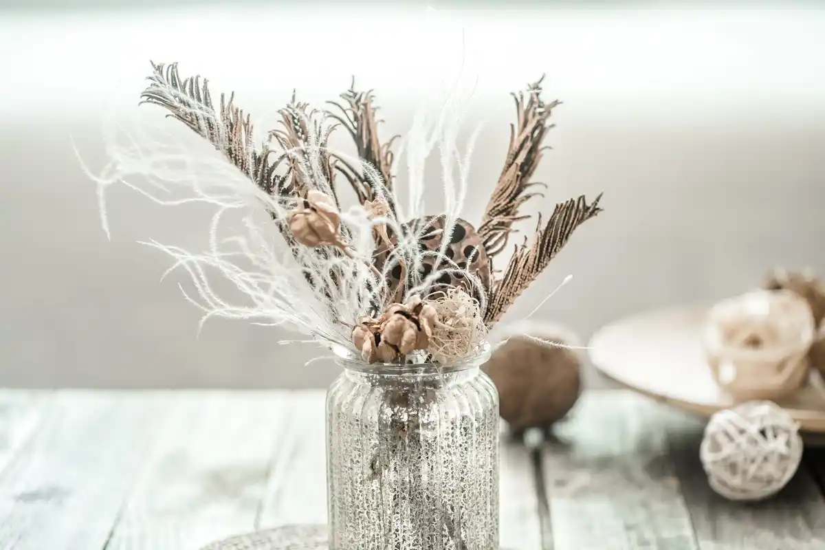 dry indoor plants on windowsill in winter, czech apartment