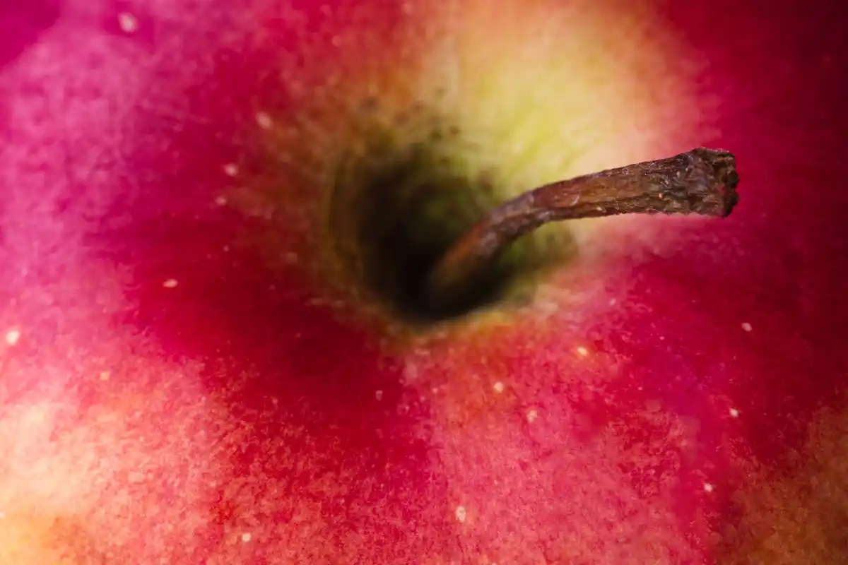 banana peel near rose bush garden closeup