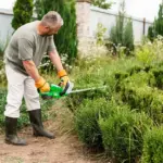 cutting grass too short problem middle europe