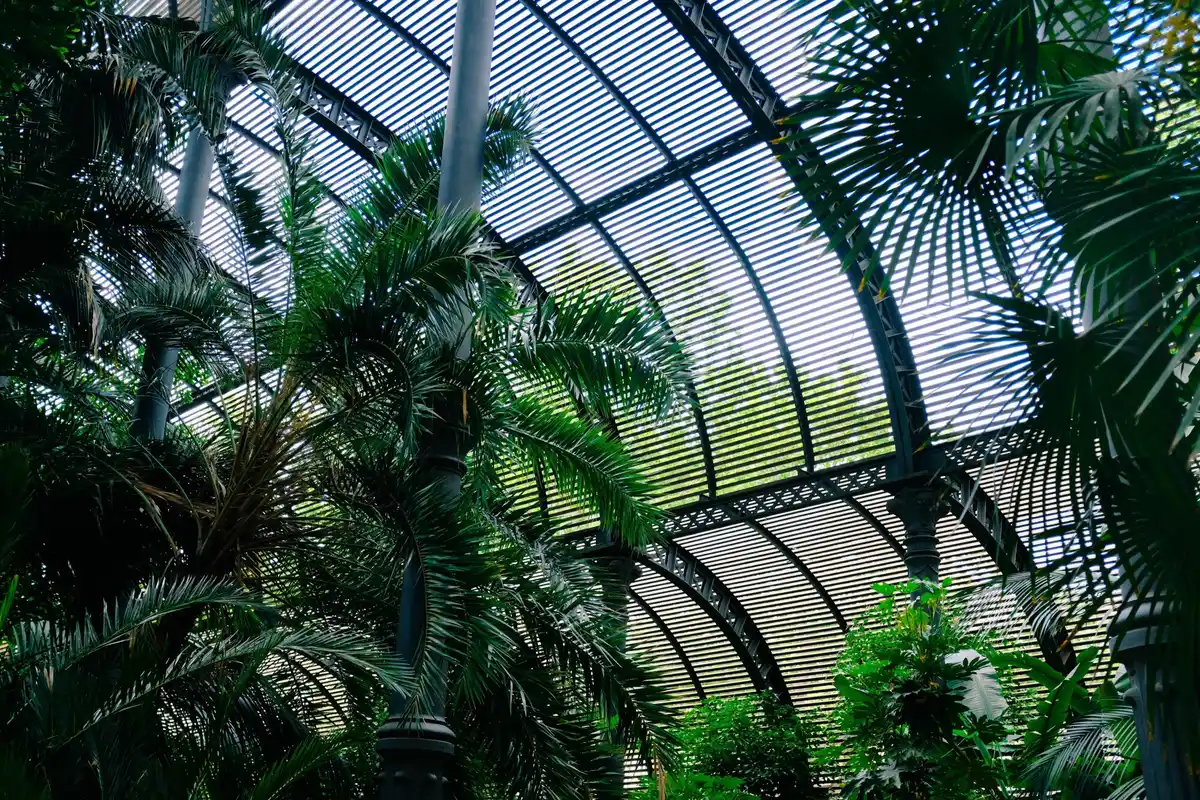 modern greenhouse unusual material