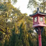 plum tree feng shui placement czech garden