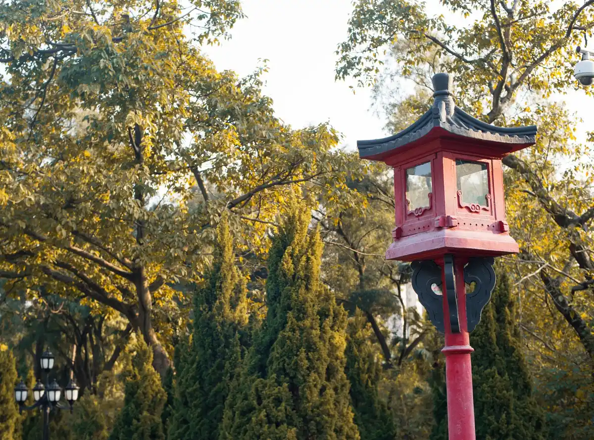 plum tree feng shui placement czech garden