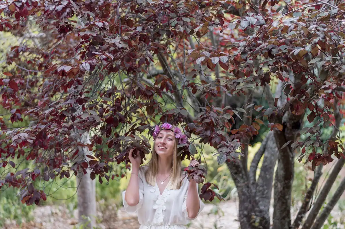 feng shui czech plum tree garden happiness
