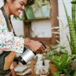 coffee grounds fertilizer indoor plants