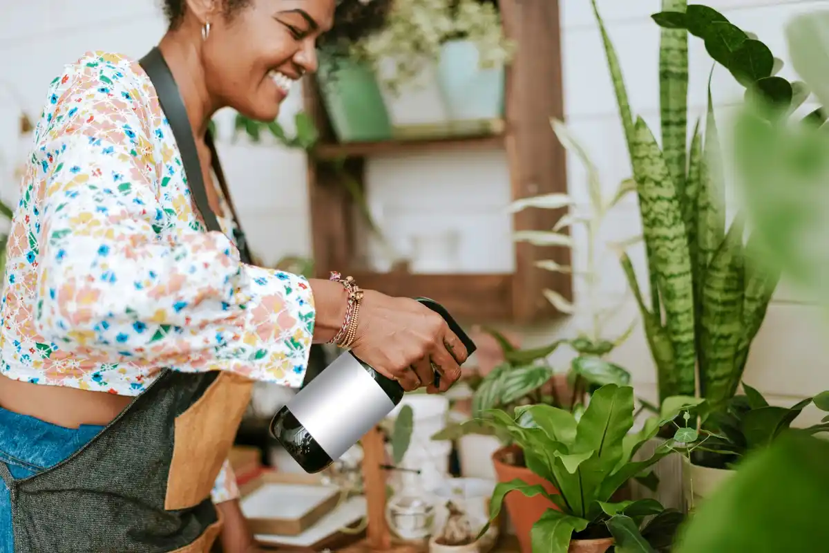 coffee grounds fertilizer indoor plants