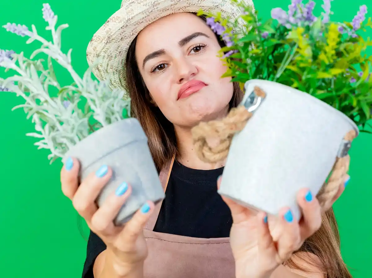 homemade soap garden pest remedy