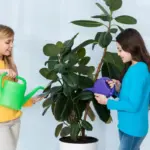 houseplants toxic for children living room