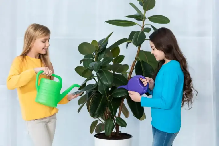houseplants toxic for children living room