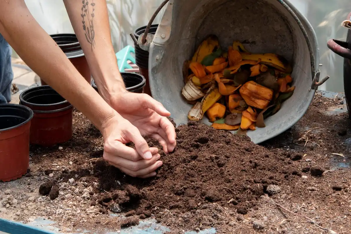 composting coffee grounds backyard