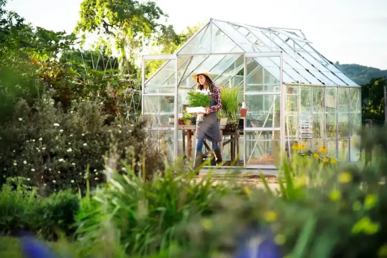 DIY greenhouse shading Czech summer garden