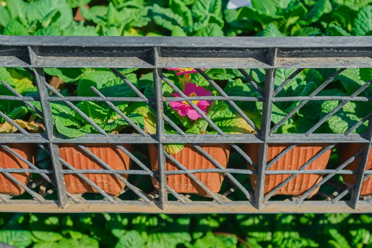 shading plants greenhouse diy Czech garden
