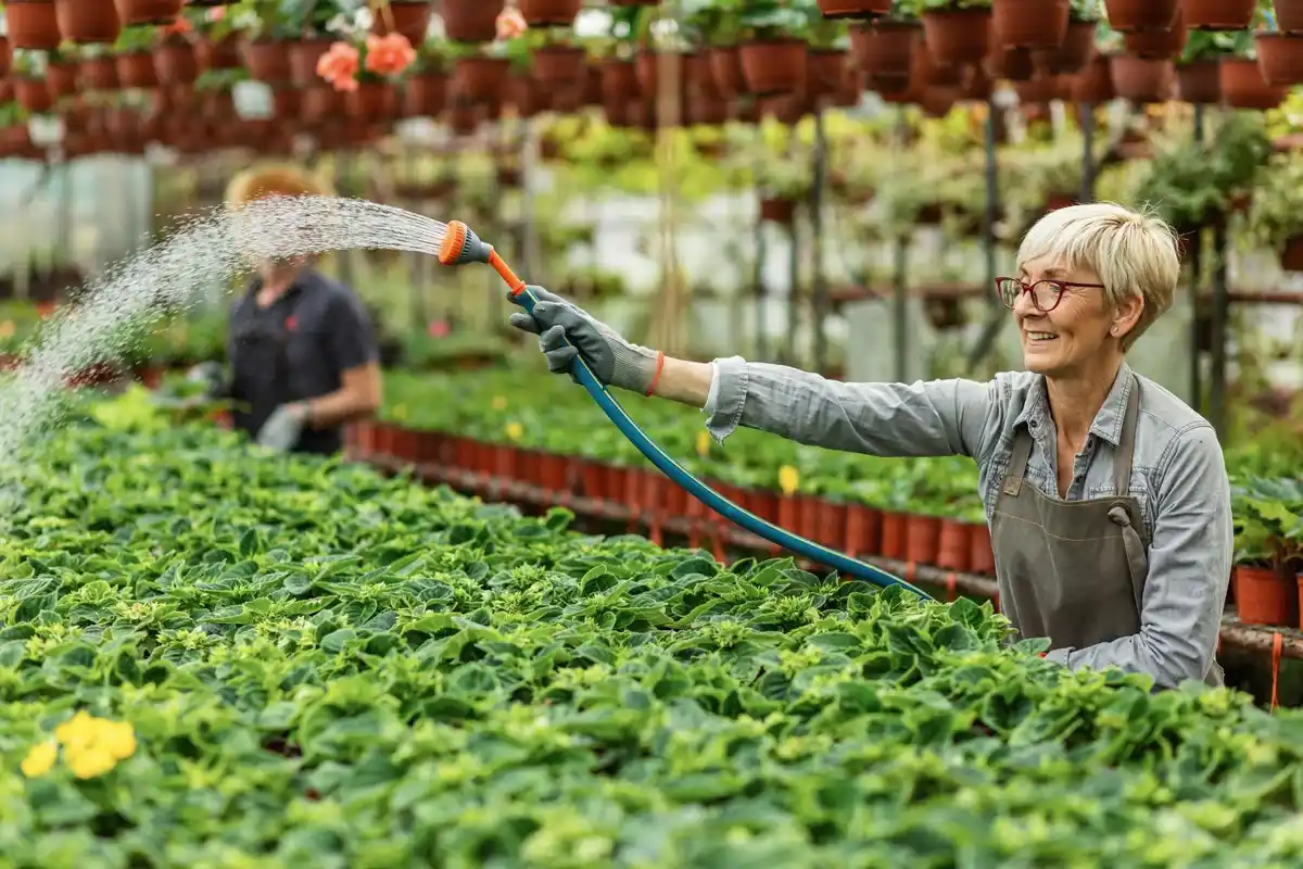 drip irrigation in vegetable garden czech