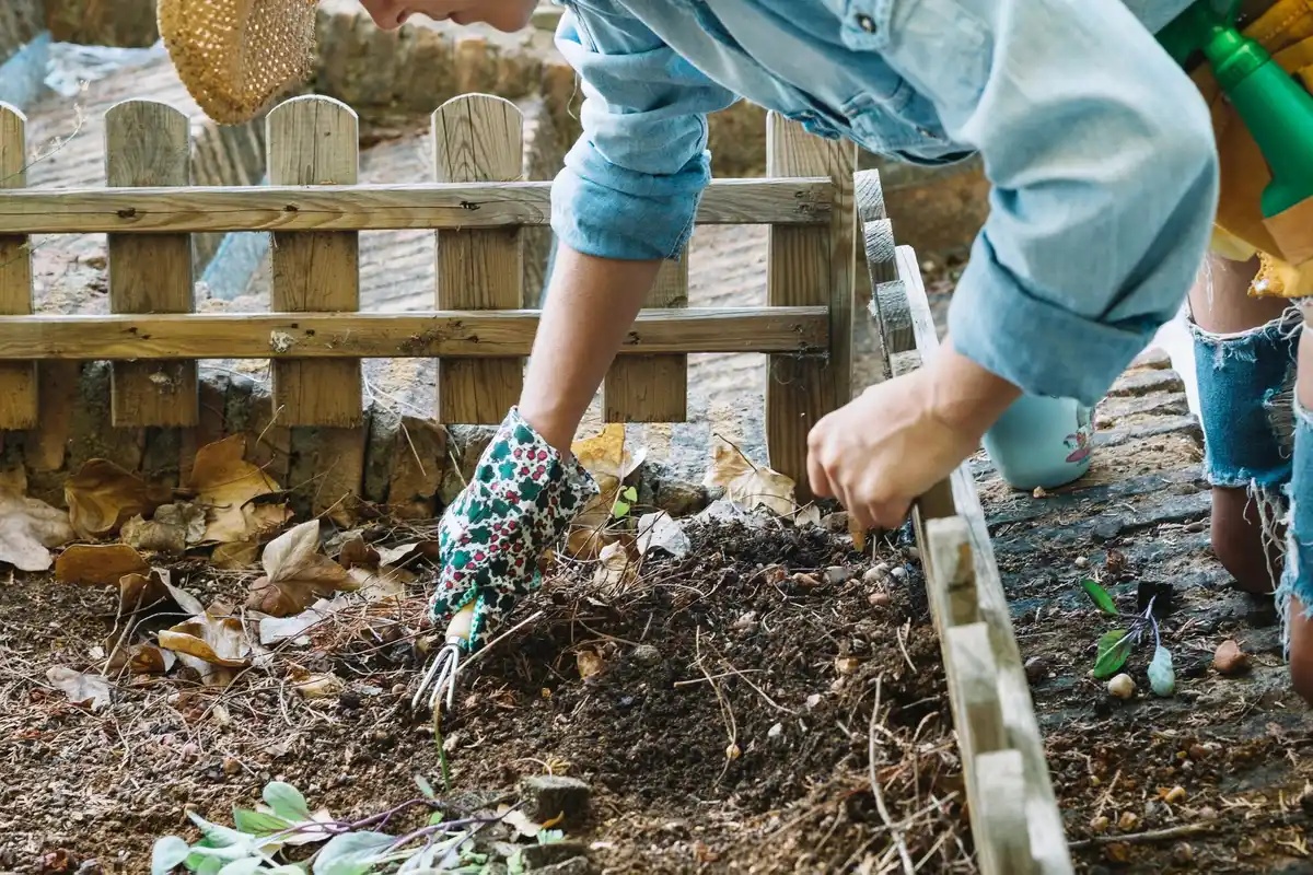 mulching vegetable beds czech garden