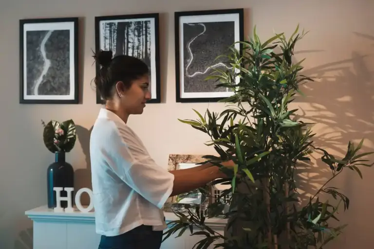feng shui indoor plants placement modern czech home
