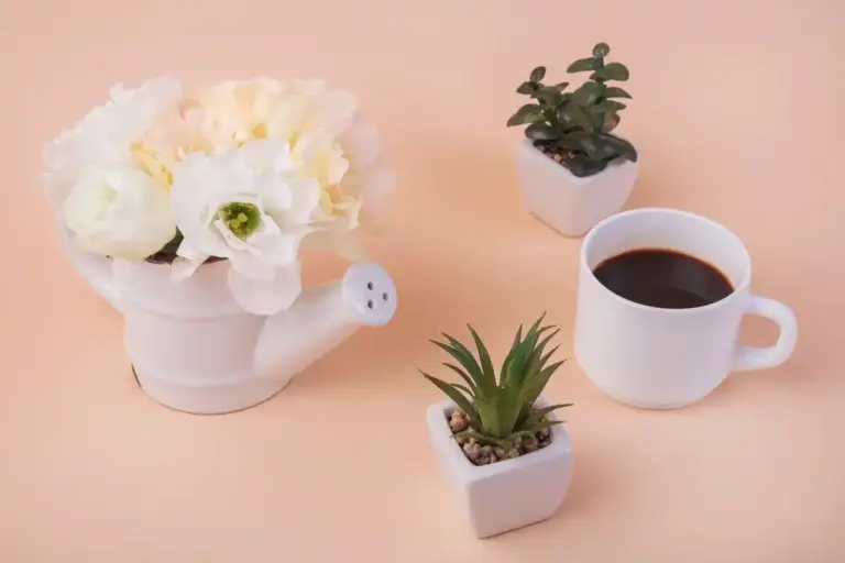 filter coffee as plant fertilizer home flowers