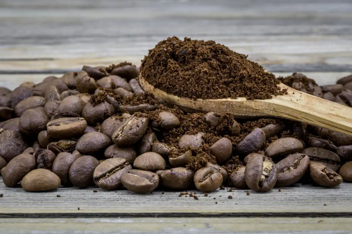 coffee grounds on soil garden close up