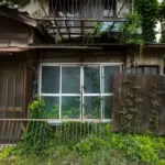 DIY greenhouse from old windows Czech garden