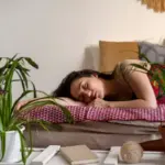 bedroom plants feng shui sleep Czech