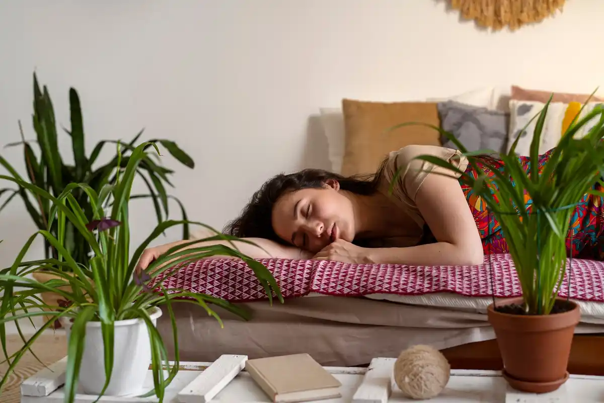 bedroom plants feng shui sleep Czech