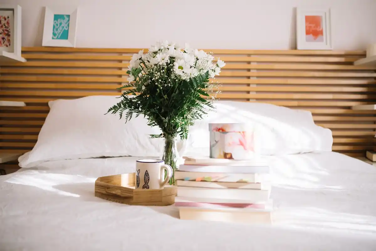 bedroom plants for sleep feng shui Czech modern