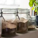 homemade plant fertilizer Czech kitchen