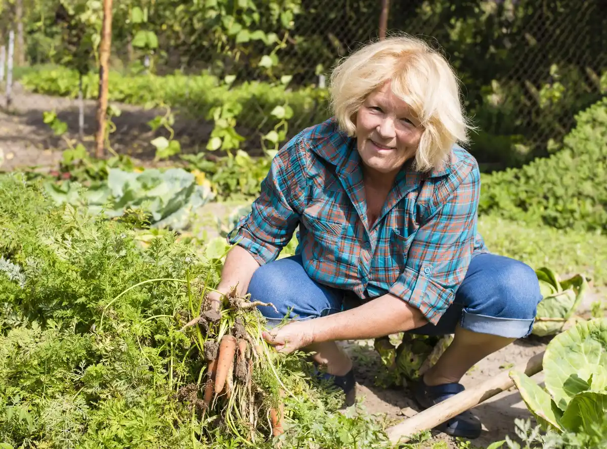 elderly woman gardening Czech village