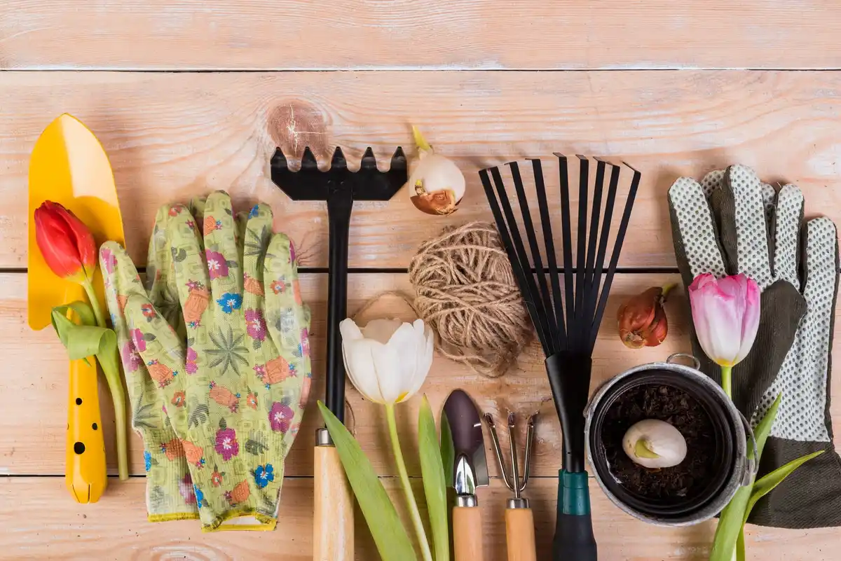eco-friendly garden tools Czech Republic