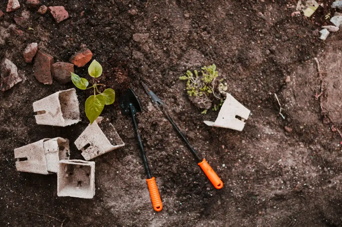 damaged garden soil by mulch
