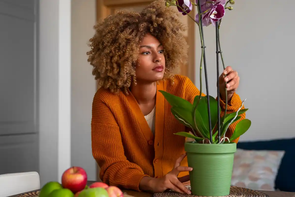 african violet care mistakes at home detail