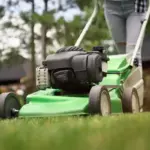 manual reel mower cutting grass Czech backyard