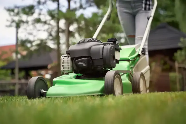 manual reel mower cutting grass Czech backyard