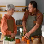 easy indoor plants seniors no maintenance