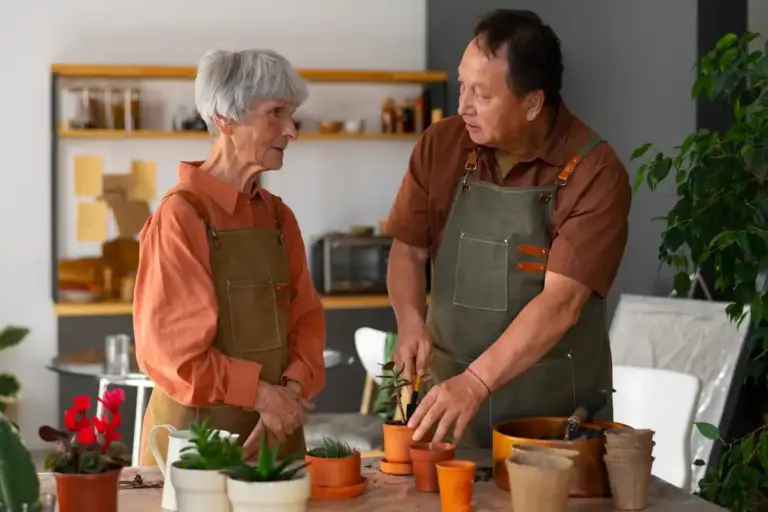 easy indoor plants seniors no maintenance