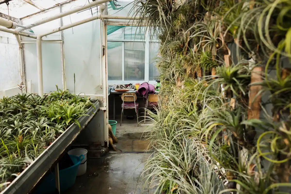 diy greenhouse heating system czech garden