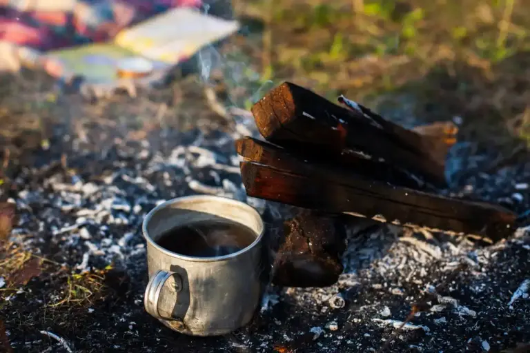 recycled coffee grounds in Czech garden