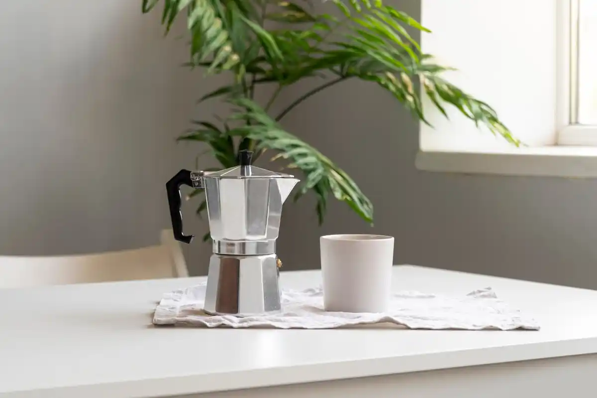 fresh coffee grounds near houseplants window Czech home